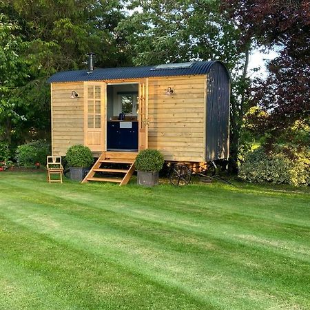 Bannfield Shepherds Hut แบลลีย์มันนี ภายนอก รูปภาพ